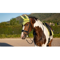 Bonnet anti-mouches LeMieux Classic Kiwi Kaki