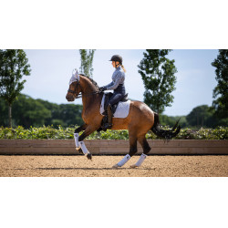Bandes de polo LeMieux Luxury Mist Bleu