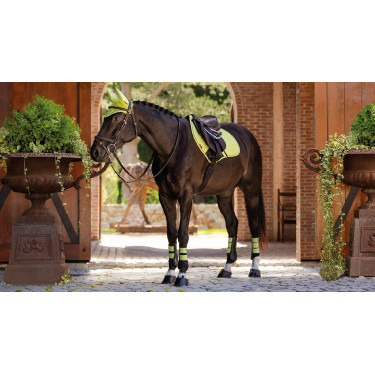Tapis LeMieux Suede Close contact Square