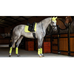 Tapis LeMieux Suede Dressage Square Kiwi Kaki