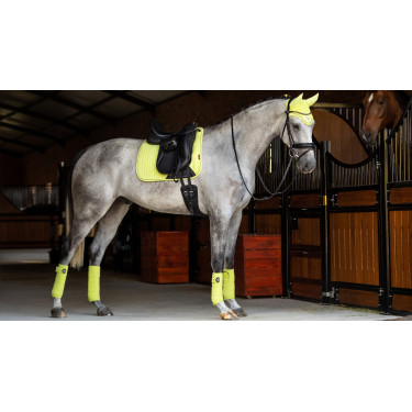 Tapis LeMieux Suede Dressage Square Kiwi Kaki