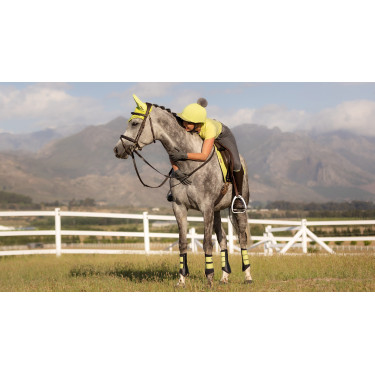 LeMieux Grafter Peesbeschermers LeMieux Grafter Peesbeschermers