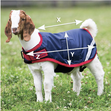 Illustratie van de maattabel voor Huisdieren Horseware