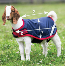 Illustration du guide des tailles pour Animaux domestiques Horseware