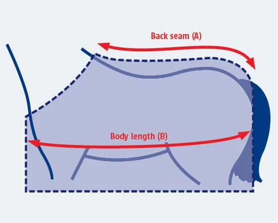Illustratie van de maattabel voor Paardendeken Weatherbeeta