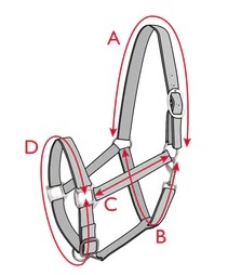 Illustration du guide des tailles pour Licol cheval Tommy Hilfiger Equestrian