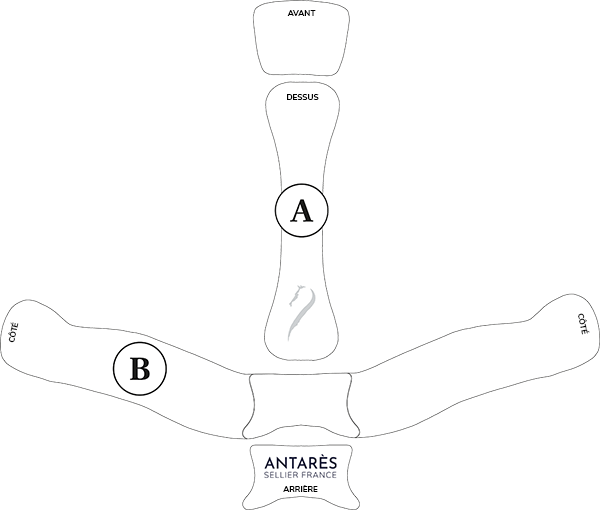 Illustratie van de maattabel voor Beschermaccessoires ruiter Antares