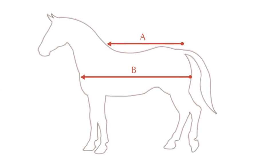 Illustratie van de maattabel voor LeMieux deken LeMieux