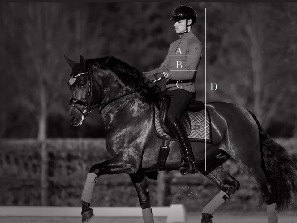 Illustratie van de maattabel voor Polo's, t-shirts en overhemden Equestrian Stockholm