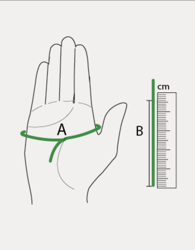 Illustration du guide des tailles pour Gants équitation ELT